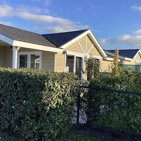 Family-Seacottage Knokke Heist Exteriör bild